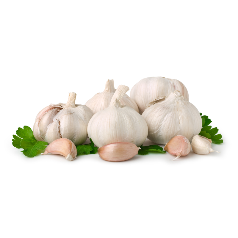 Garlic