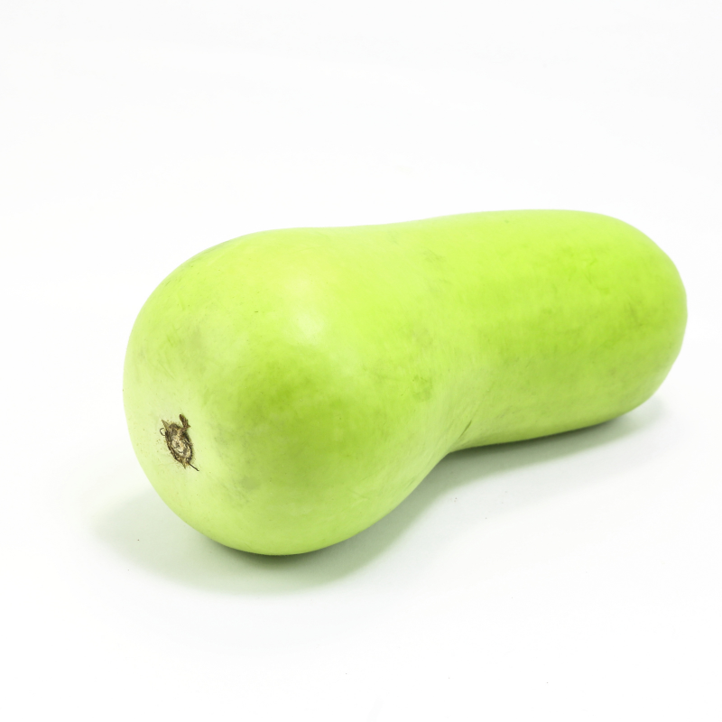 Bottle Gourd