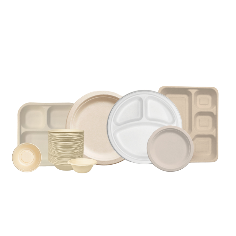 Bagasse Pulp Moulding