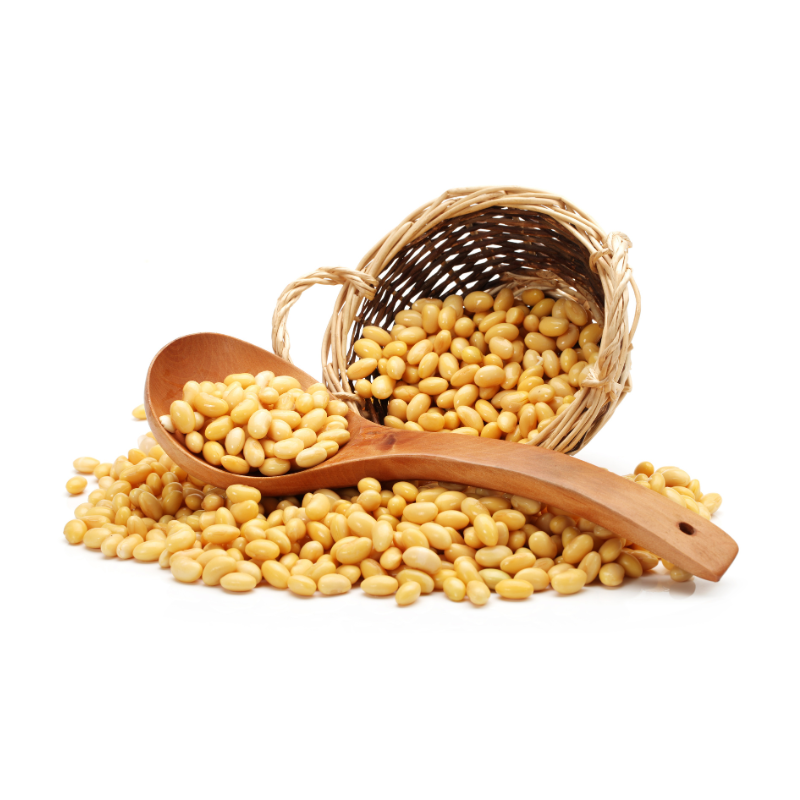 Soyabean