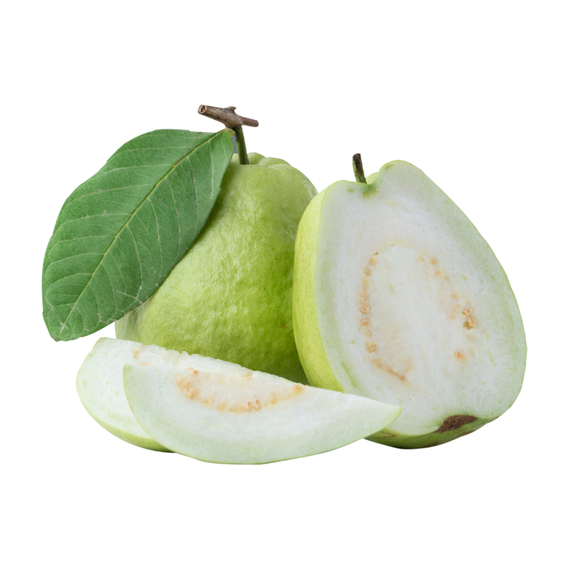 Guava