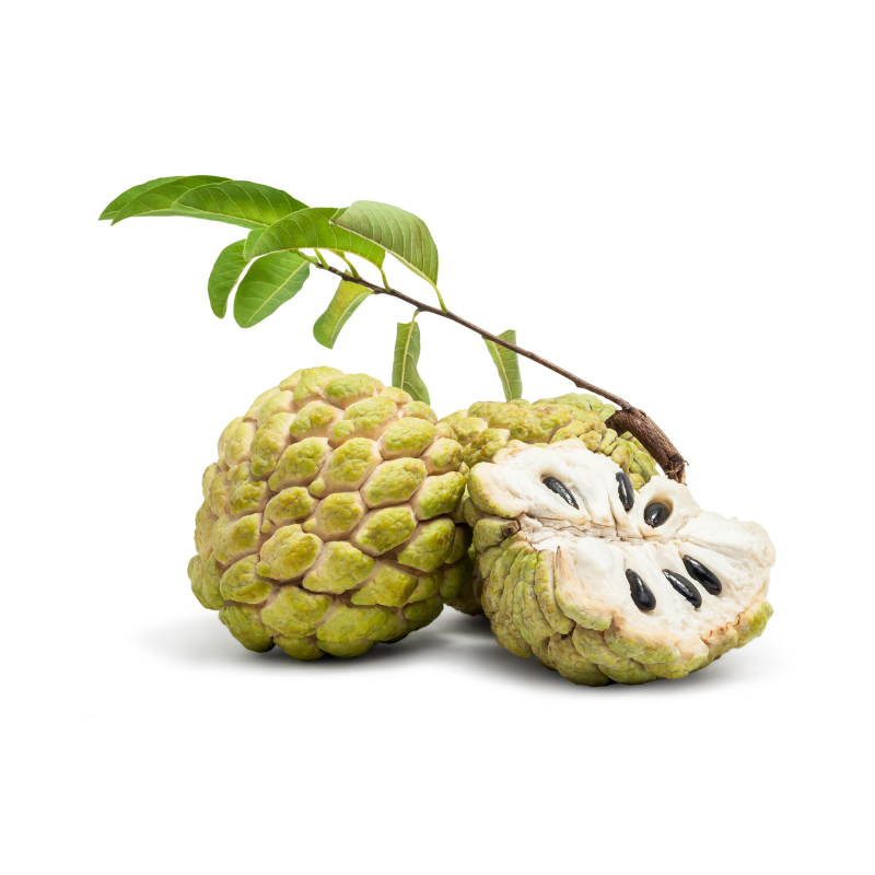Custard Apple